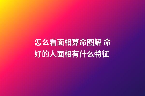 怎么看面相算命图解 命好的人面相有什么特征